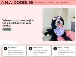 A.N.A. Doodles Website - On Going